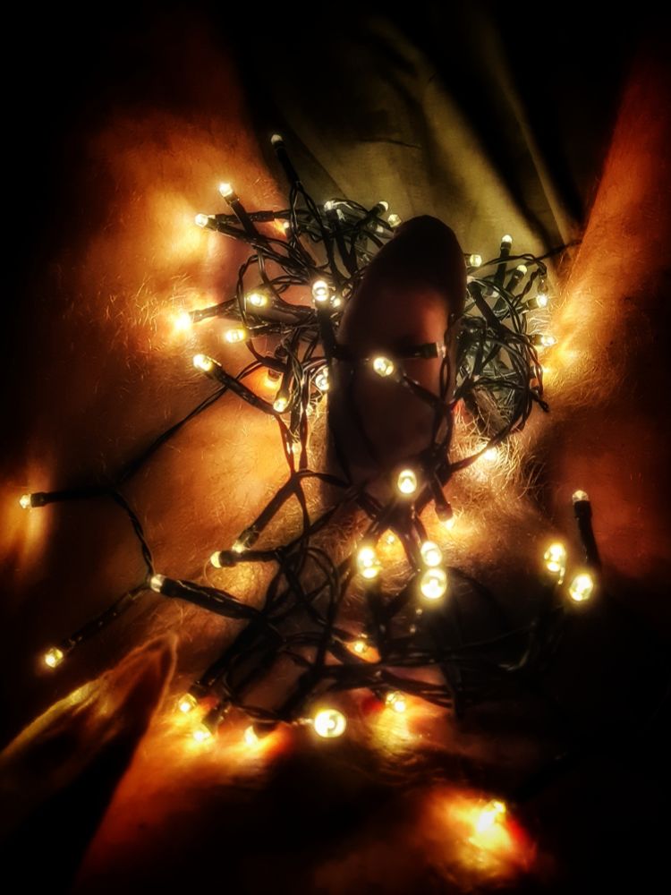 A penis wrapped in Christmas lights 