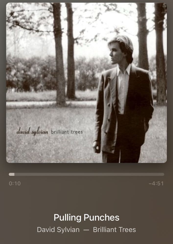 David Sylvian “Brilliant Trees”