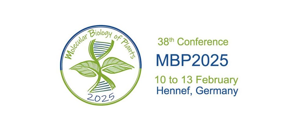 The logo of the Conference Molecular Biology of Plants displays a sketch of the DNA rope ladder interwinded with leaves.