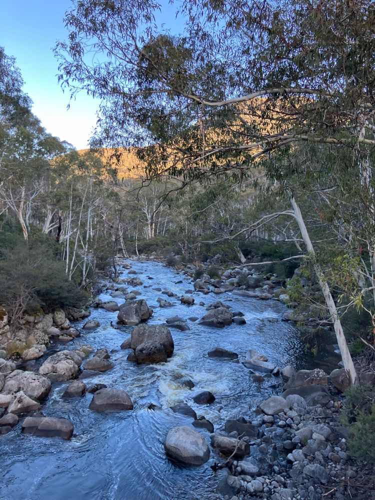 A fast flowing mountain stream 
