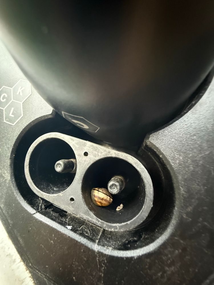 A little snail sitting inside a cars charging port 