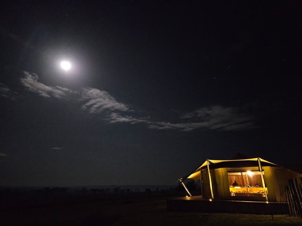 tent under night sky