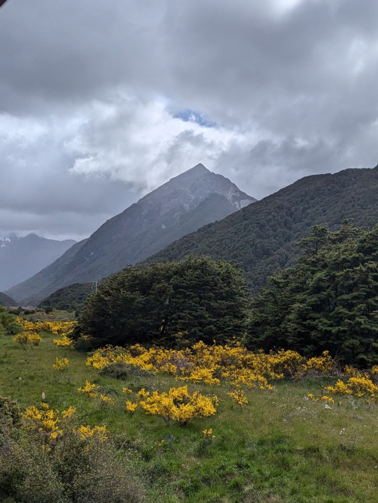 Cloudy grey sky with mountains and haze obscuring more distant peaks, green grass, yellow flowering gorse, and small trees in the foreground.