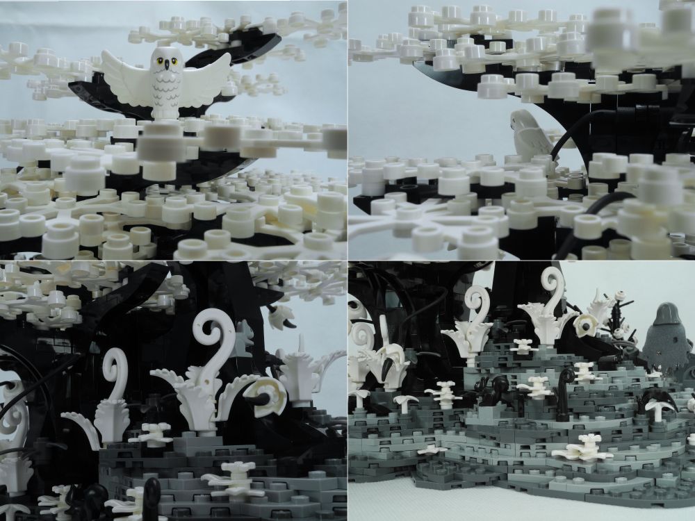 Another 4-pane image showing various details. Top-left is of the white owl about to take flight from the top of a tree. Top-right shows a view through the branches to another white owl, perched among the leaves. Bottom-left focuses on the lower part of a tree, where a grey squirrel sits, partly hidden by ferns. We can also see the back of the black squirrel sitting on the bank.