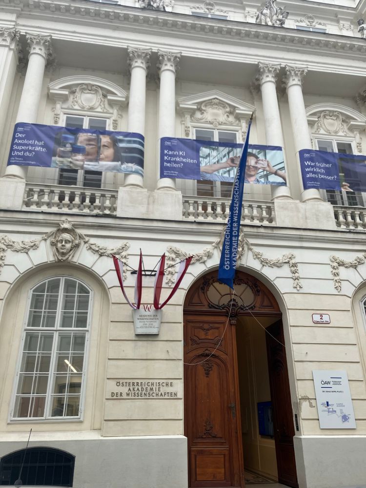 Classic Viennese building in white with weird little faces and a big brown wooden door
