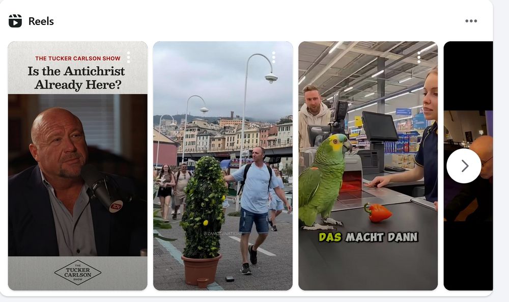 heading: "Reels"

shows three videos

one on left shows Alex Jones (bald white guy) under heading, "The Tucker Carlson Show: Is the Antichrist Already Here?"

The other two videos are: a man in a street next to a small potted tree, a parrot next to a cashier in a store with the words, "Das macht dann"
