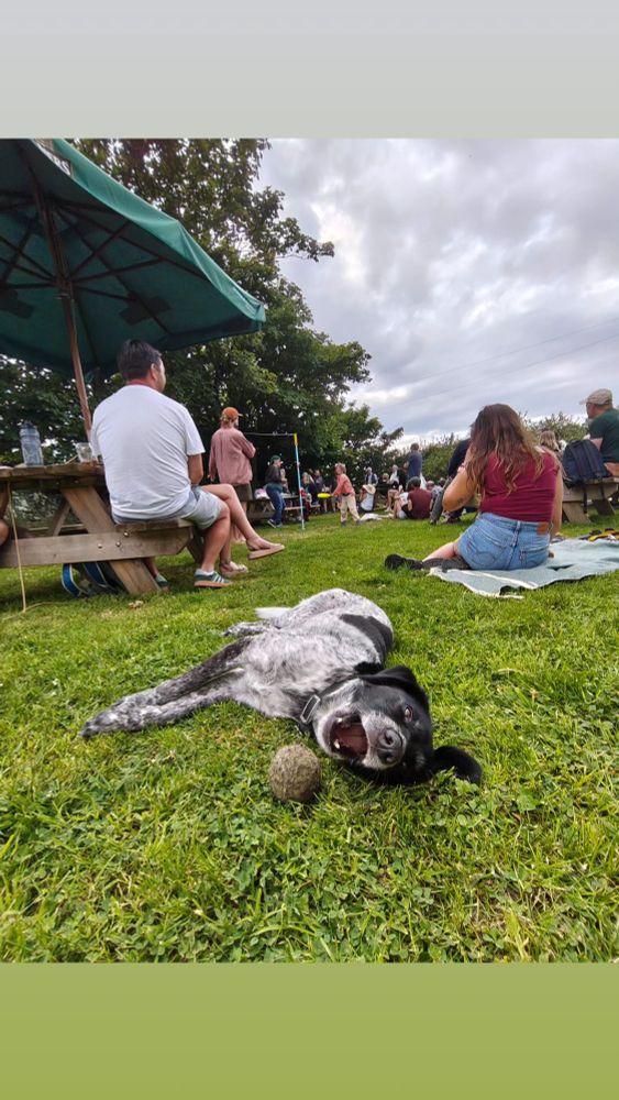 Tired dog lying with ball, sea shanty singers in the background 