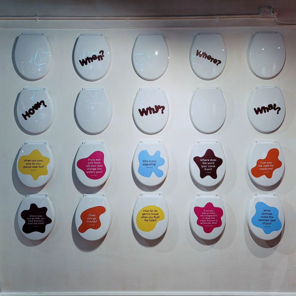 Twenty toilet seats mounted on a wall. They have questions on the lid ranging from "when?" and "why?" to "can poo be used for medicine?"