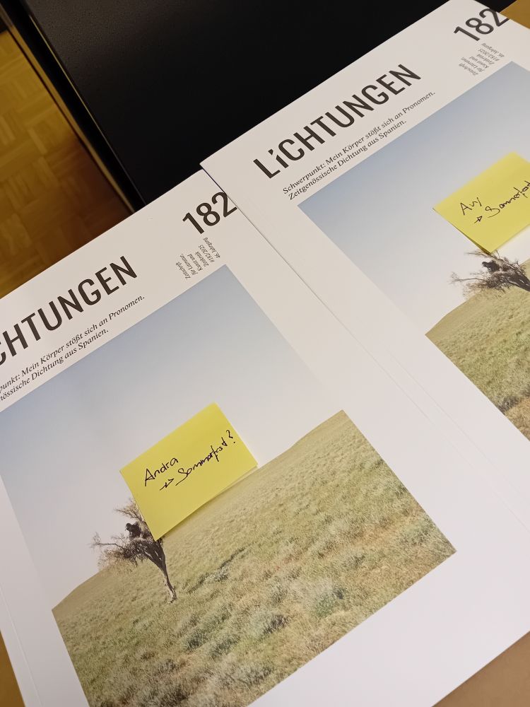 2 Stapel der Literaturzeitschrift Lichtungen, sehr in weiß gehalten, ein sommerliches Coverbild mit Mann in Baum auf Wiese.