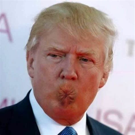 Donna Chump 