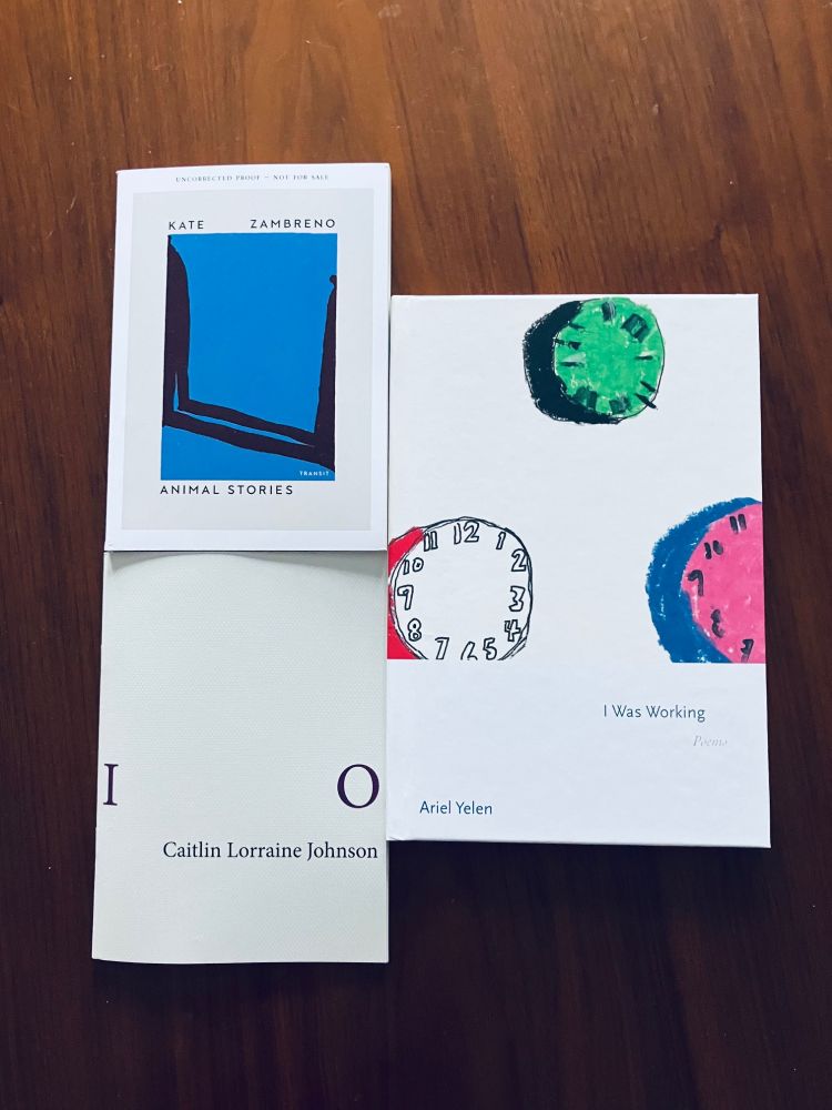 A picture of three books on a wooden table: upper left is an ARC of Kate Zambreno's ANIMAL STORIES, forthcoming from Transit Books; on the right is I WAS WORKING by Ariel Yelen, out from Princeton UP; and on the bottom left is Caitlin Lorraine Johnson's IO, a booklet out from The Economy Press.
