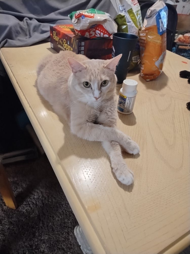 Cyrus Alexander Grappling Hook is a very fancy lad, but he is, perhaps, not the brightest of orange fellows.