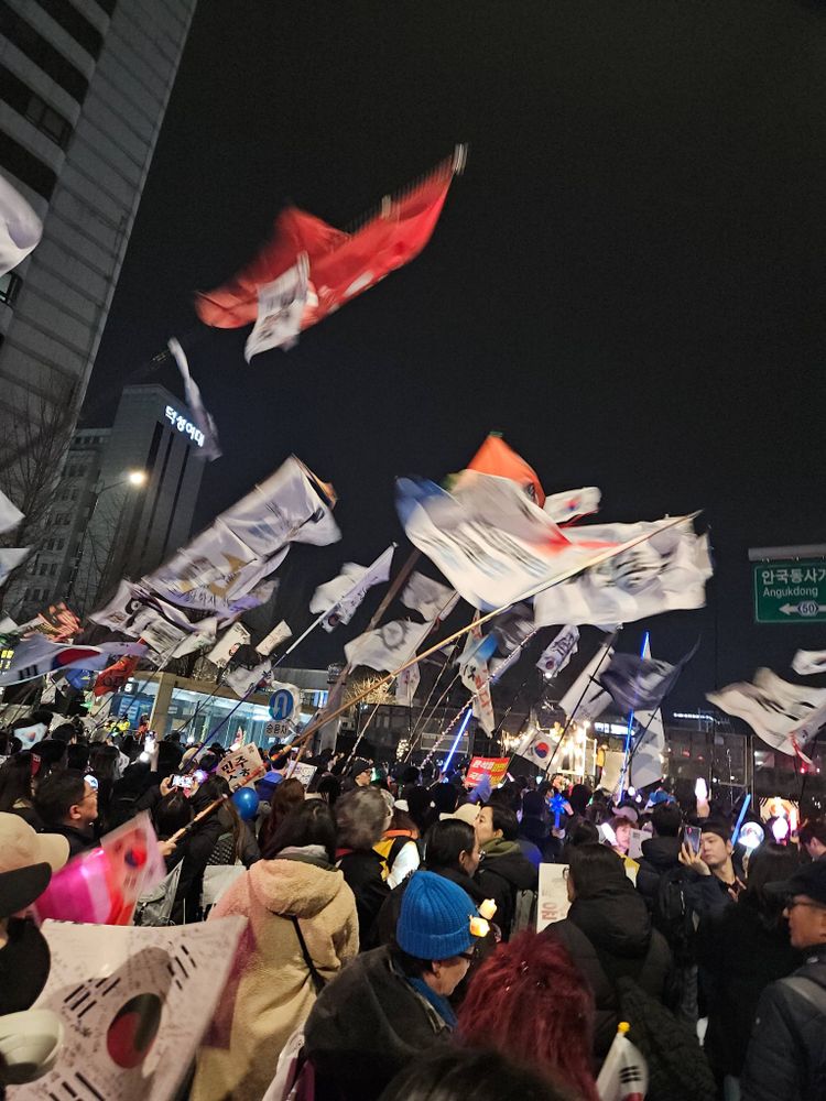 안국역 시위에서 수많은 깃발이 휘날리는 사진