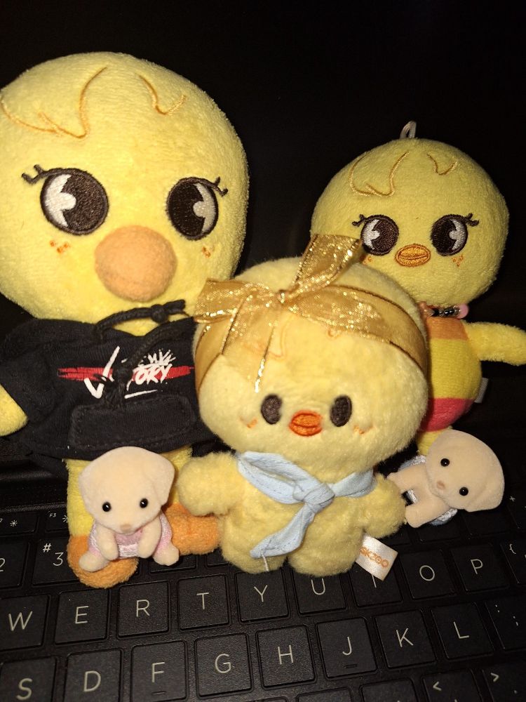 Biebee - puyo - nakari - mumo babies