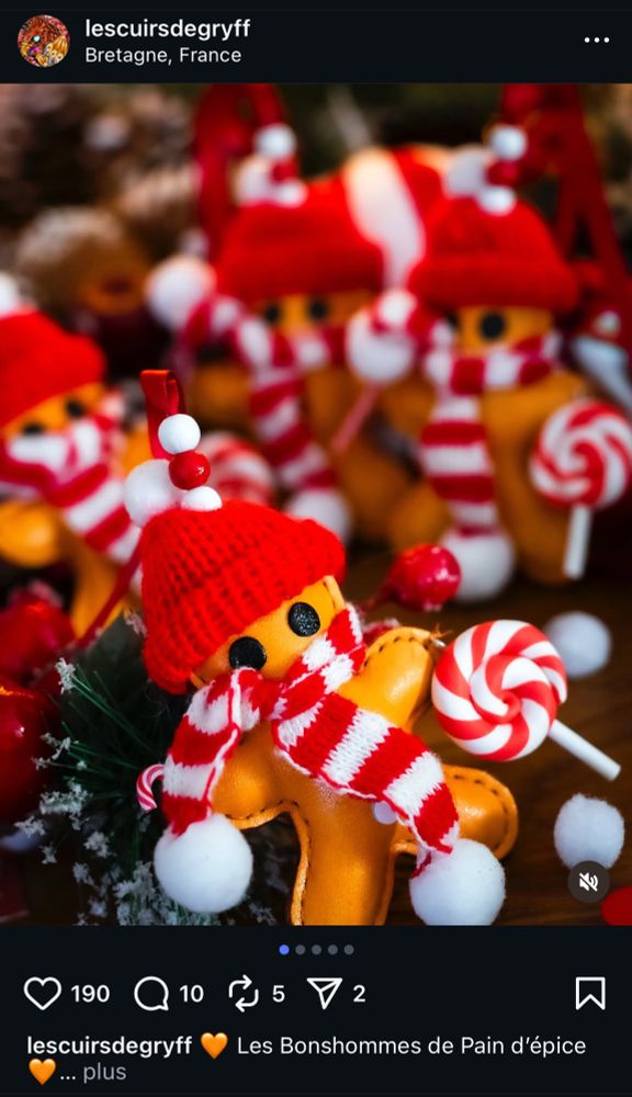 Capture insta les cuirs de gryff