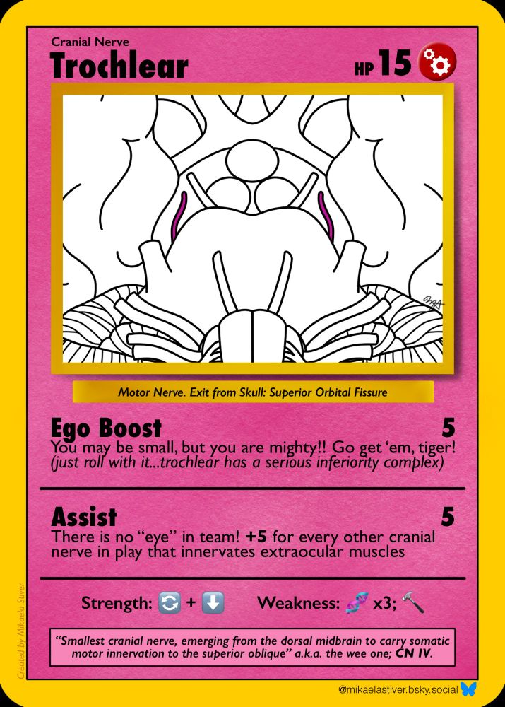 Image of the Pokémon-inspired trochlear nerve card with yellow borders and pink background.

Trochlear Cranial Nerve Card (HP 15; Type: Motor)

Line drawing of trochlear nerves highlighted in pink

Motor Nerve.
Exit from Skull: Superior Orbital Fissure

Ego Boost: You may be small, but you are mighty!! Go get 'em tiger! (just roll with it... trochlear has a serious inferiority complex)
Assist: There is no "eye" in team! +5 for every other cranial nerve in play that innervates extraocular muscles

Strength: 
🔄 = primary action of SO → intorsion 
⬇️ = secondary action of SO → depression

Weakness:
🧬 = mutations leading to a neoplasm
🔨 = head trauma (in fairness, I don’t think any nerves would fare well against a hammer!)

"Smallest cranial nerve, emerging from the dorsal midbrain to carry somatic motor innervation to the superior oblique" a.k.a. the wee one; CN IV