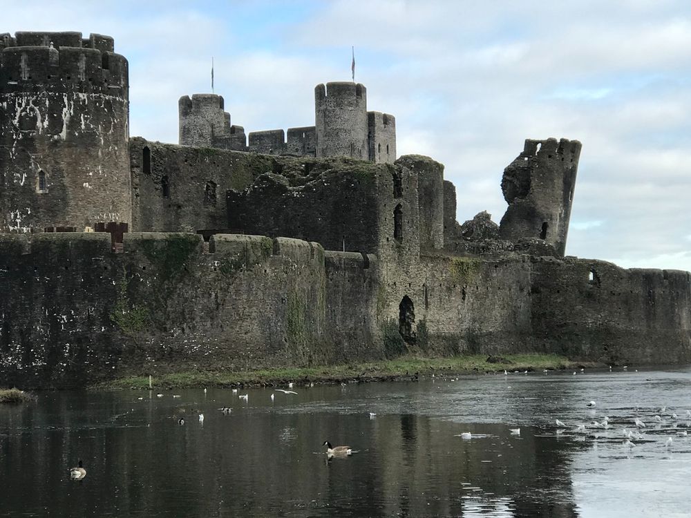 close up of the castle, some of the moat is frozen and it has ducks, geese, and gulls hannging out in little clicks