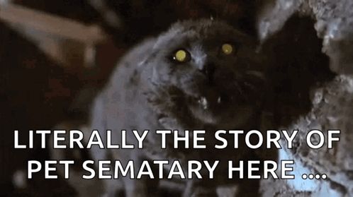 a black cat with yellow eyes is sitting next to a wall with the words literally the story of pet sematary here .