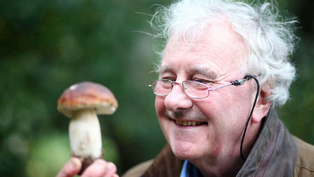 BBC Four - The Magic of Mushrooms