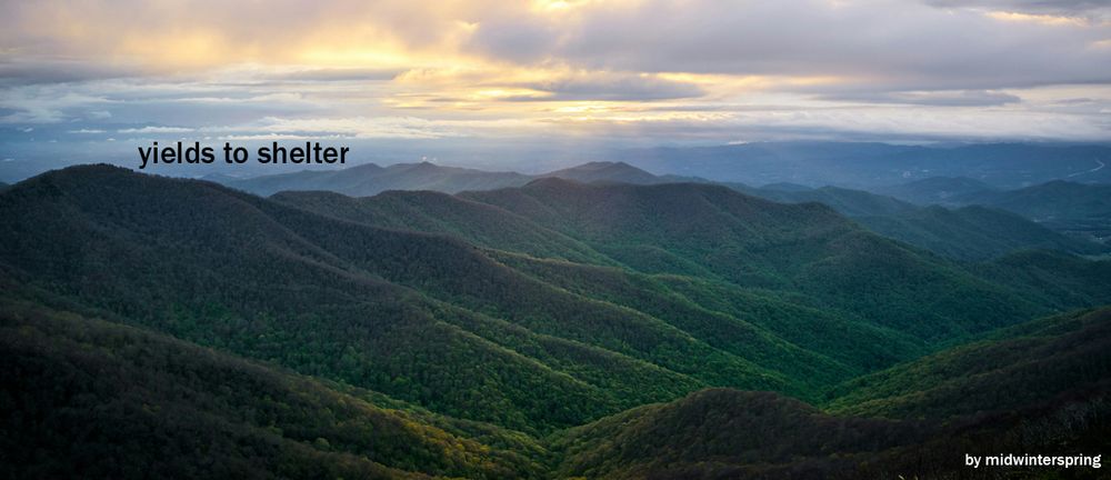 Photo of grey sky over low tree-covered mountains. Fic title in a san serif font small above the mountain, author name smaller in bottom right.