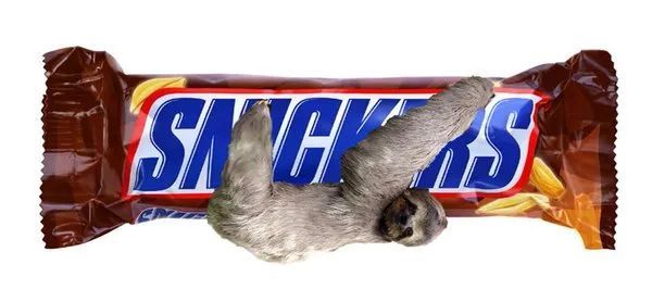 Fotomontage: Ein Faultier hängt an einem Snickers.