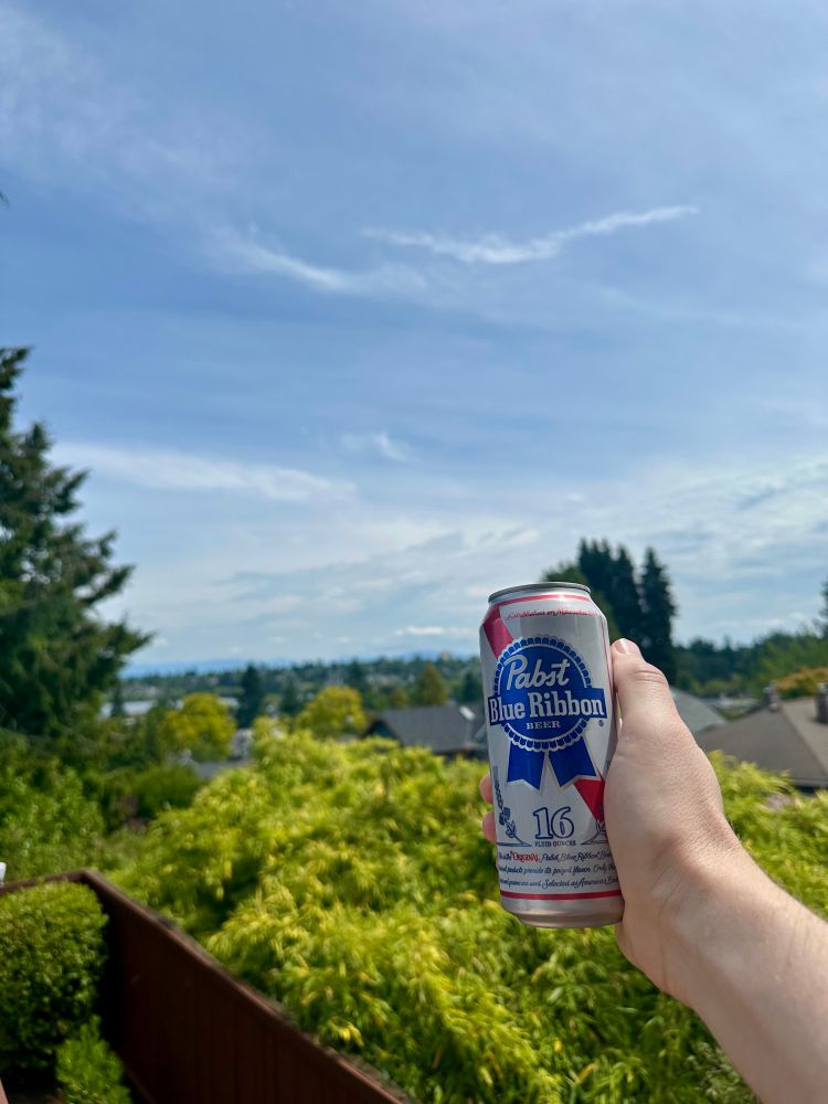 A can of PBR being raised with a vista of greenery & sky in the background. 