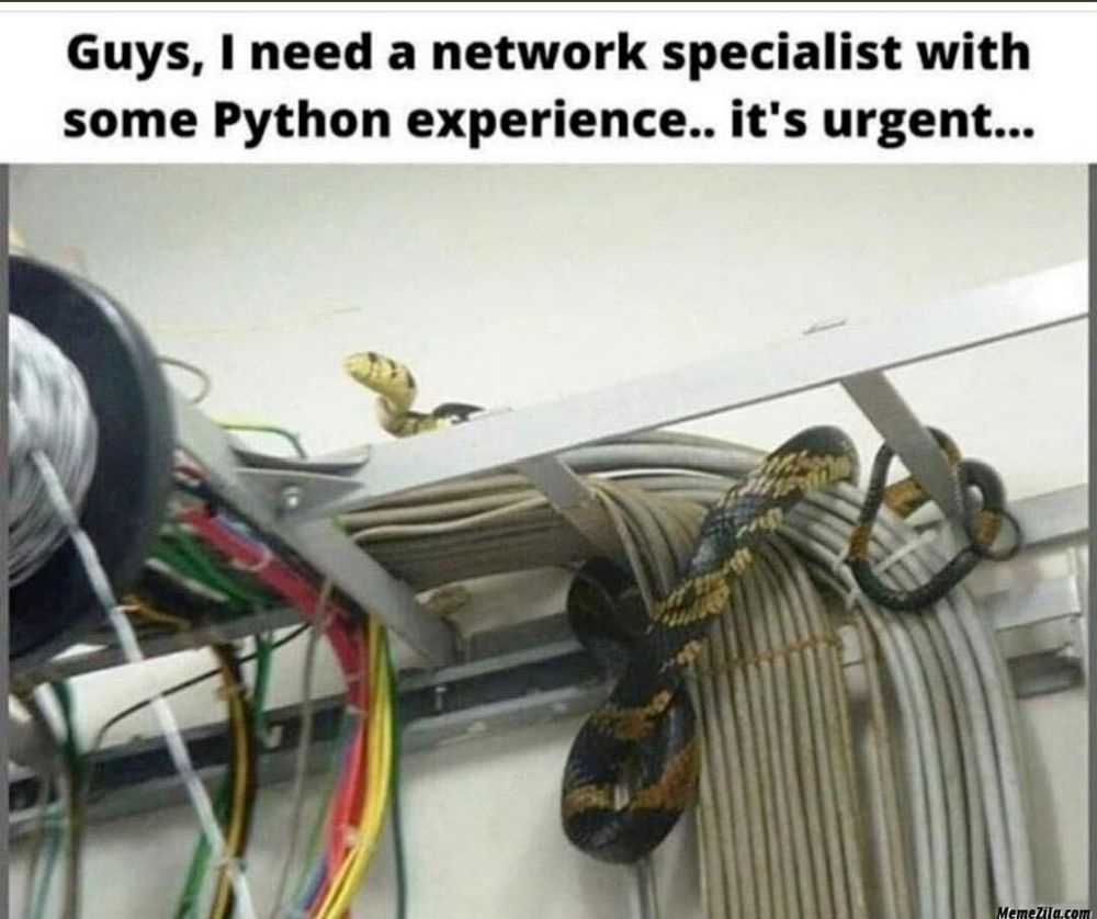We are looking for python developers 
#Network #Python #Development