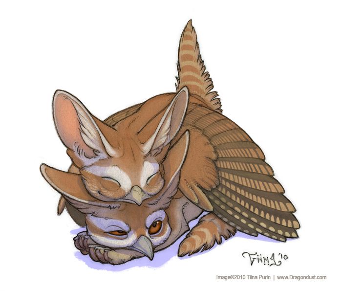 Wren Fennec Fox Gryphons