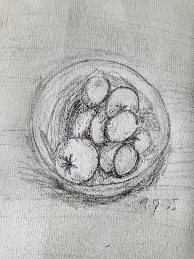 A pencil sketch (graphite only) of a bowl of small fruit. 