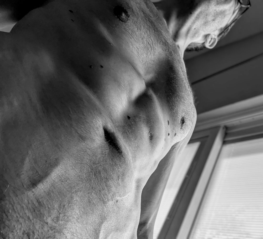 A photo in grayscale. Looking up along my standing body from just above my cock. My pubes are just visible, then my happy trail up to my belly button. Veins are prominent here. Further, my abs, defined, especially the ridge along the middle and near my pecs. My chest is flat and furry. My face is turned away, but you can make out one scruffy cheek and my glasses. The sliding door in the background provides a light that puts the entire photo into a high contrast look.