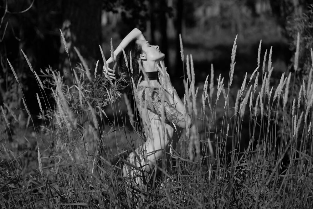 Black and white implied nude of a model in tall grass.