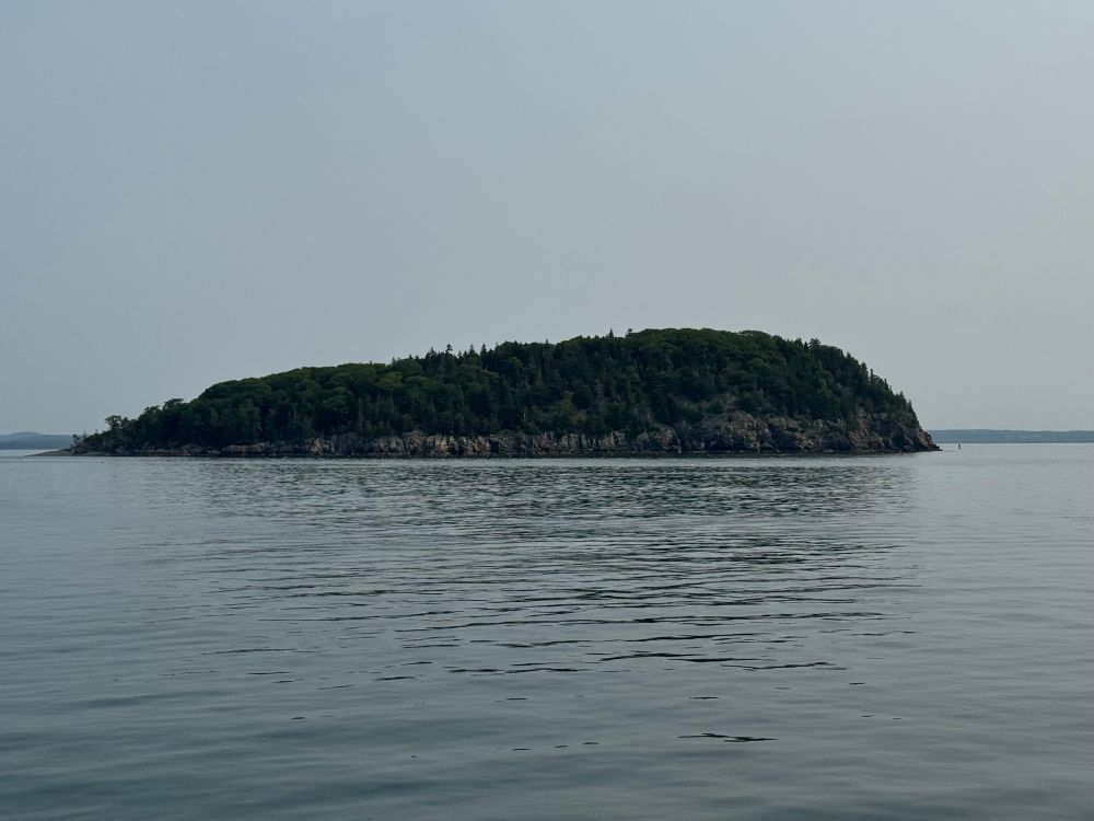 Glacially molded island (one of the Porcupine Islands off of Bar Harbor). This ‘Roche Moutonée’ is a ‘ramp-and-pluck’ landform, with ice flow in the direction of the gently ramping side to the steeply ‘plucked’ side.