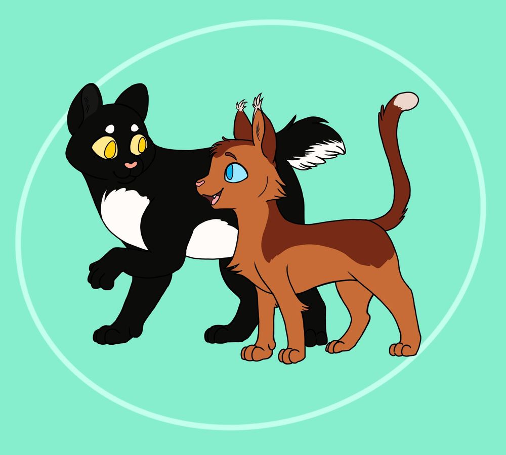 A drawing of two cats, a tuxedo and an orangish red one, walking side by side on a simple seafoam colored background. 