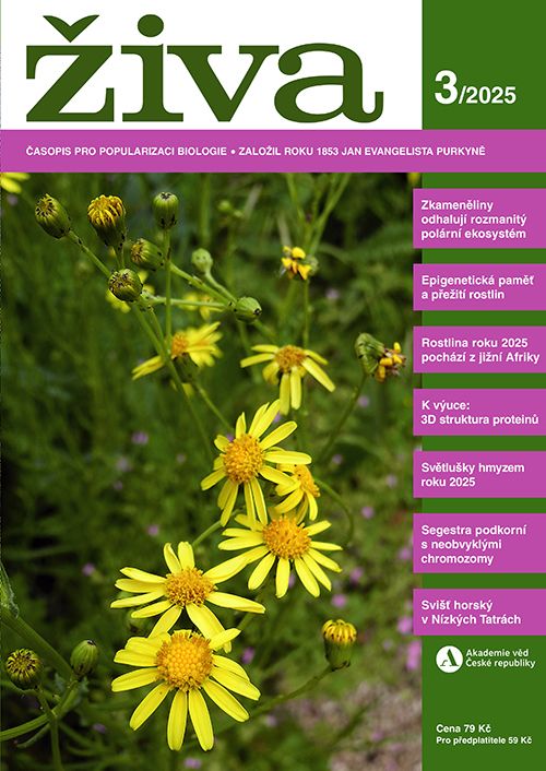 Obálka časopisu Živa 3/2025. Převzato z https://scontent-prg1-1.xx.fbcdn.net/v/t39.30808-6/506064551_1300830985379086_1987986412874119719_n.jpg?_nc_cat=106&ccb=1-7&_nc_sid=127cfc&_nc_ohc=ElYzkXlzNK0Q7kNvwE7lS9m&_nc_oc=AdkeOCGhiYK8ysGPl0PwbBV48Zv3NwiFhhzHOnt-15PRIKit-_b9tIoWdJL9m8JAveE&_nc_zt=23&_nc_ht=scontent-prg1-1.xx&_nc_gid=DDyBOPOLS6TbzkD1qLzckg&oh=00_AfOfENbgA3kGpXbStA6-71qu9GybFlarHQoe8ZzKjgTivw&oe=6851B55A