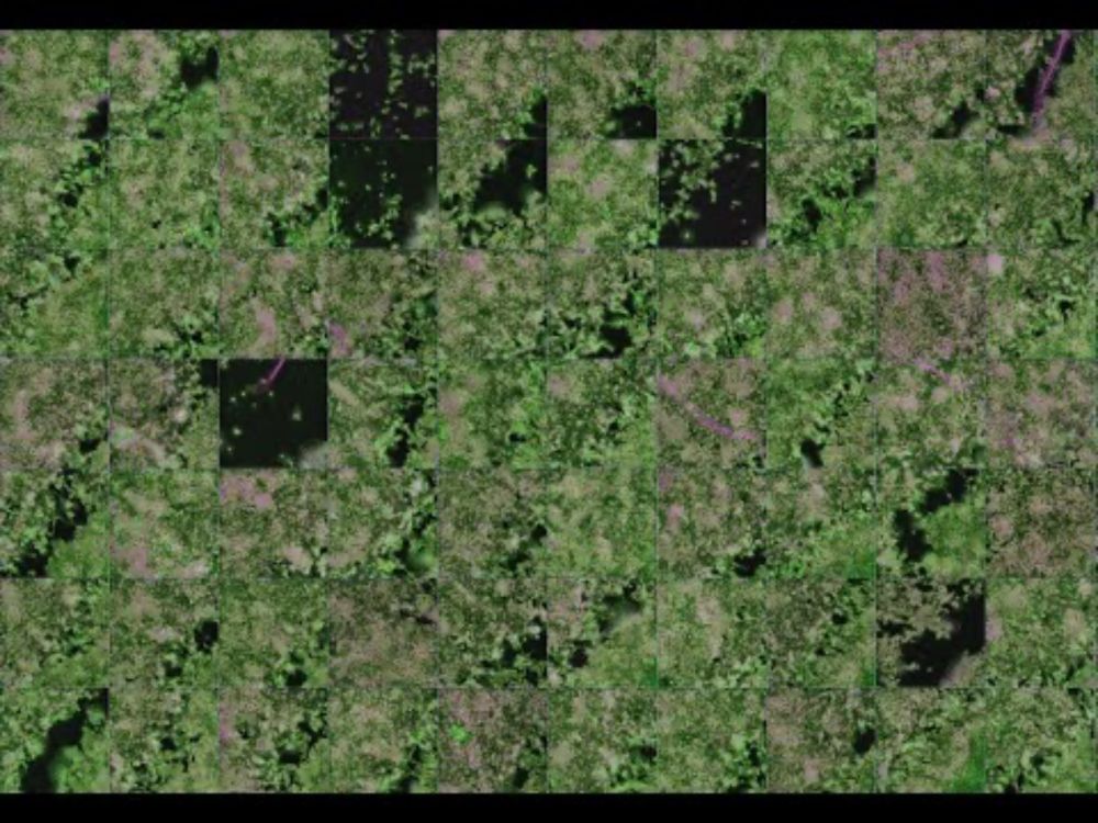 AskErinDearBeth Episode 3 - QC on High Content Imaging Datasets using CellProfiler and FIJI