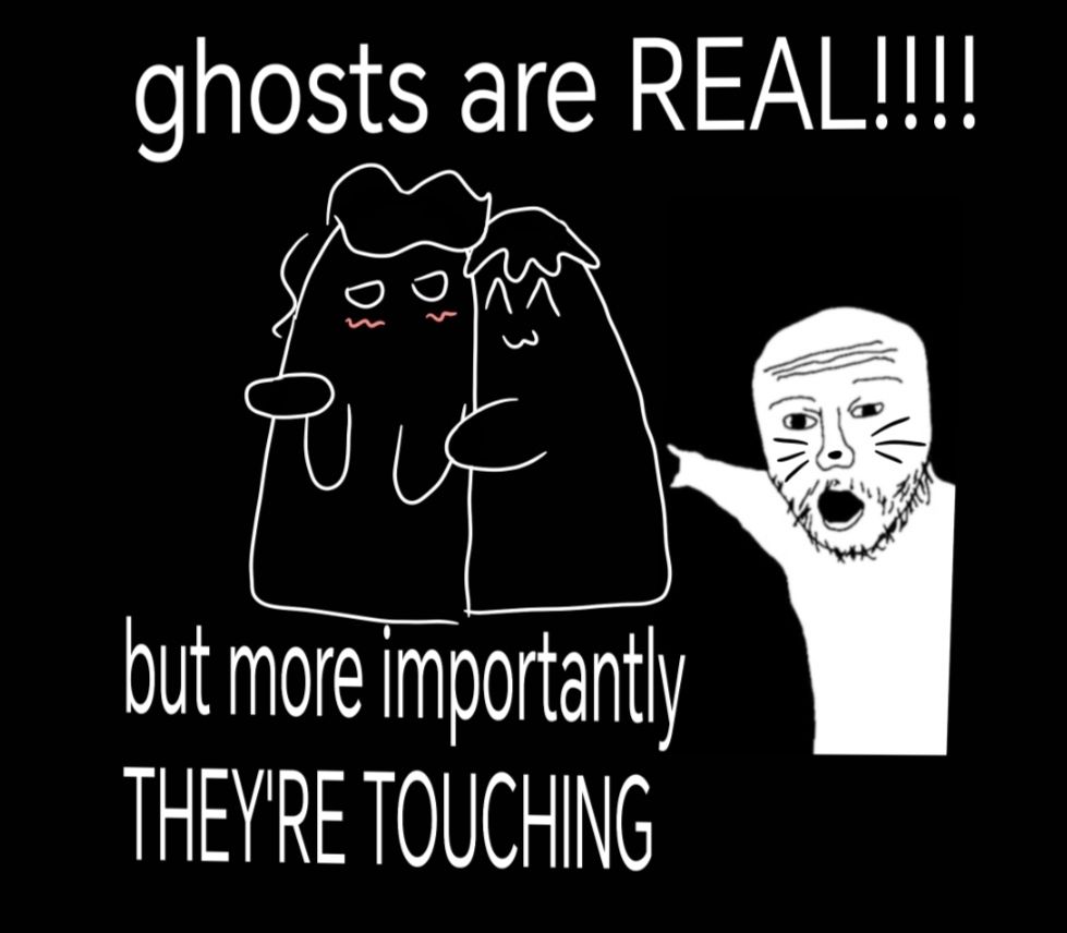 simple line art drawing on black background of two ghosts. one is blushing and the other is hugging the blushing ghost. the ghosts are supposed to be Dan and phil. meme of a guy pointing behind him with his mouth wide open next to the ghosts. I've drawn cat whiskers on him. text at the top say "ghosts are REAL!!!". text är the bottom say "but more importantly THEY'RE TOUCHING"