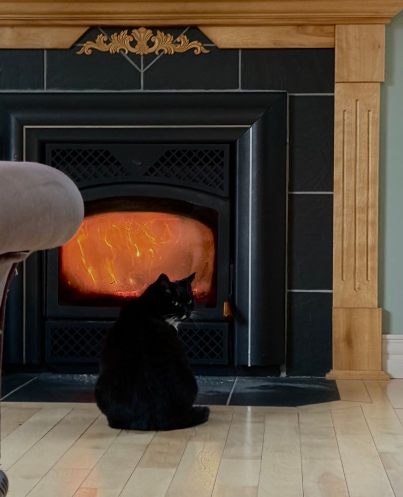 Tuxedo cat sitting in front of fire place