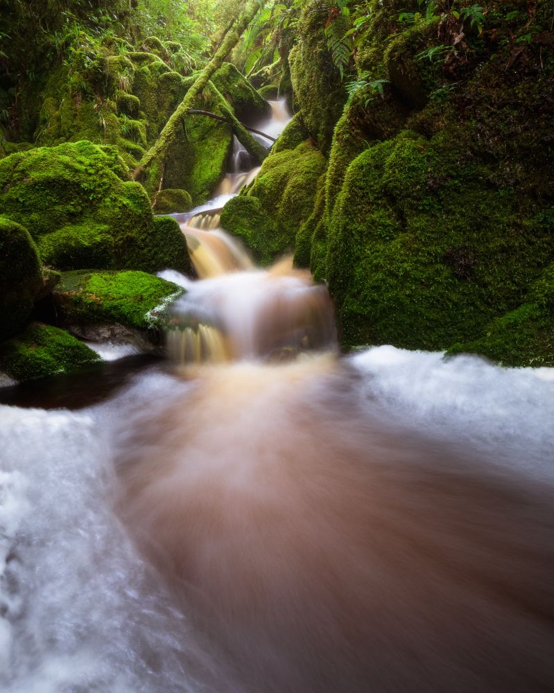 A small mini falls within Kahurangi National Park, New Zealand.