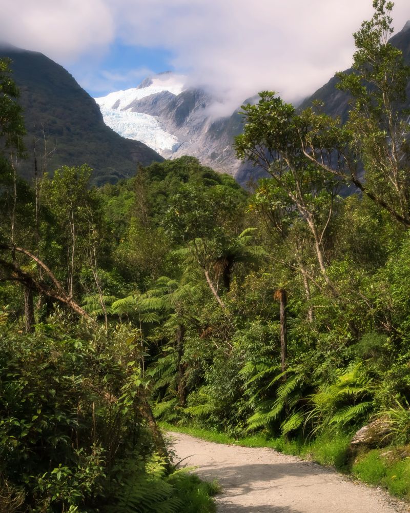 Fox Glacier, West Coast, New Zealand.