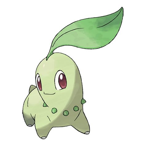 chikorita looking cute