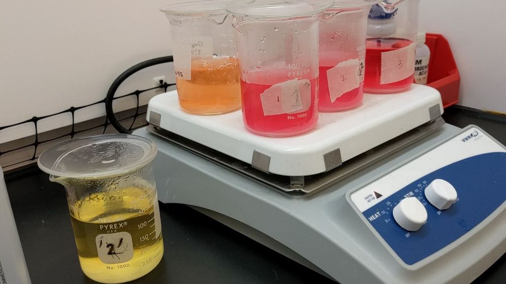 Reaction liquids in beakers on a hot plate, with methyl red indicating pink for acidic conditions and yellow for neutral and alkaline conditions
