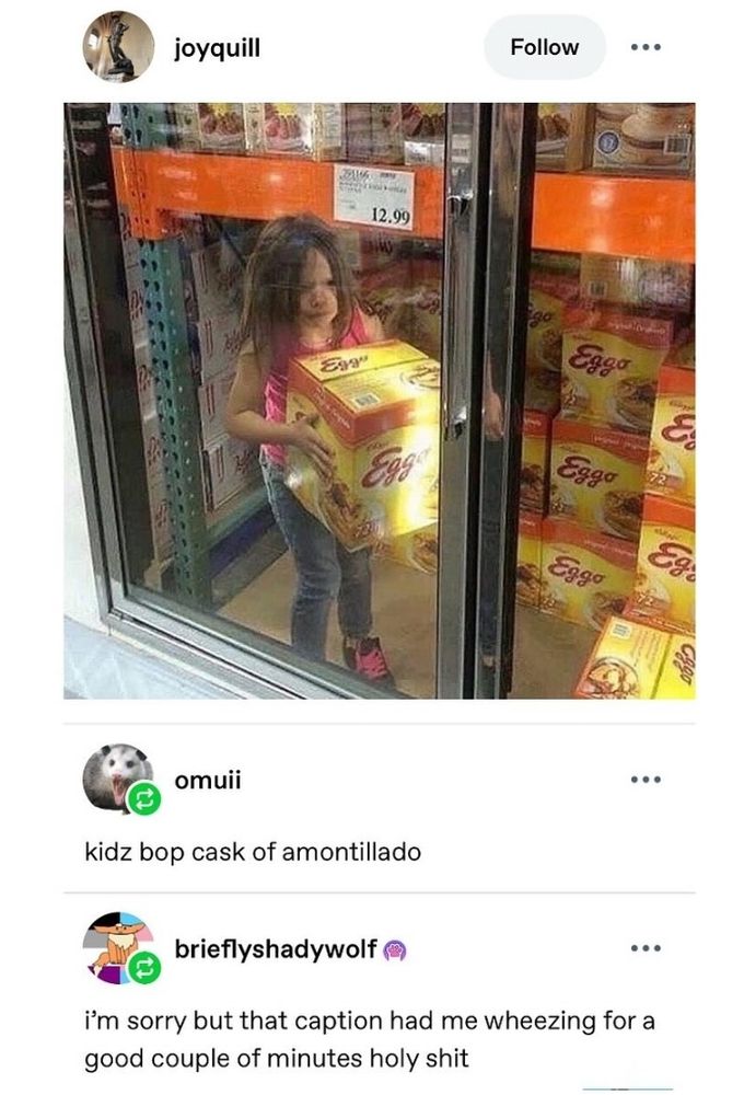 A child holding a giant box of Eggo waffles, standing on the inside of a Costco freezer. Tag reads "Kidz bop cask if amontillado"
And a reply if "I'm sorry but that caption had me wheezing for a good couple if minutes Holy shit"