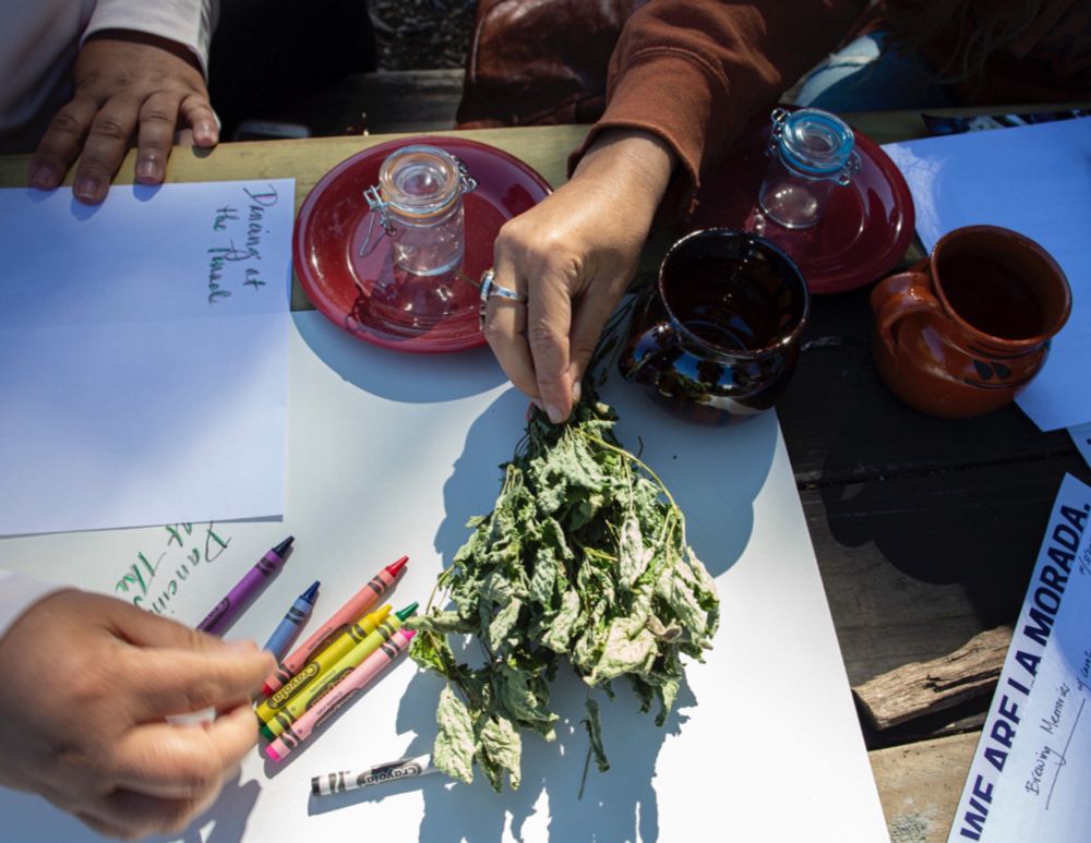 Several hands shown in a photo around a table with crayons and paper. 

Photo credit: m Cynthia Santos-Briones for Brewing Memories/ Archives in Common
(Brewing Memories is the workshop series we devised with La Morada restaurant for Archives in Common in 2021-2022) 