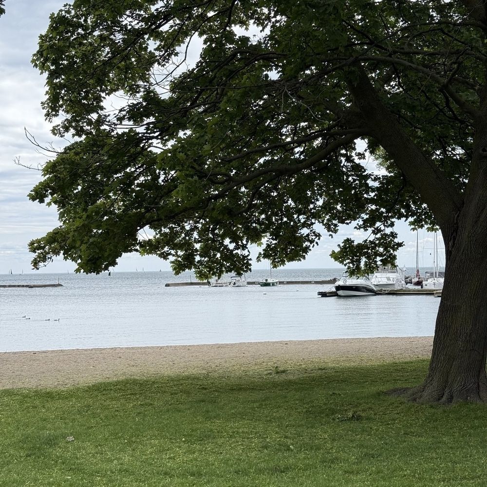 A lakeside view features a sandy beach, lush tree, and boats docked by a pier under a partly cloudy sky.