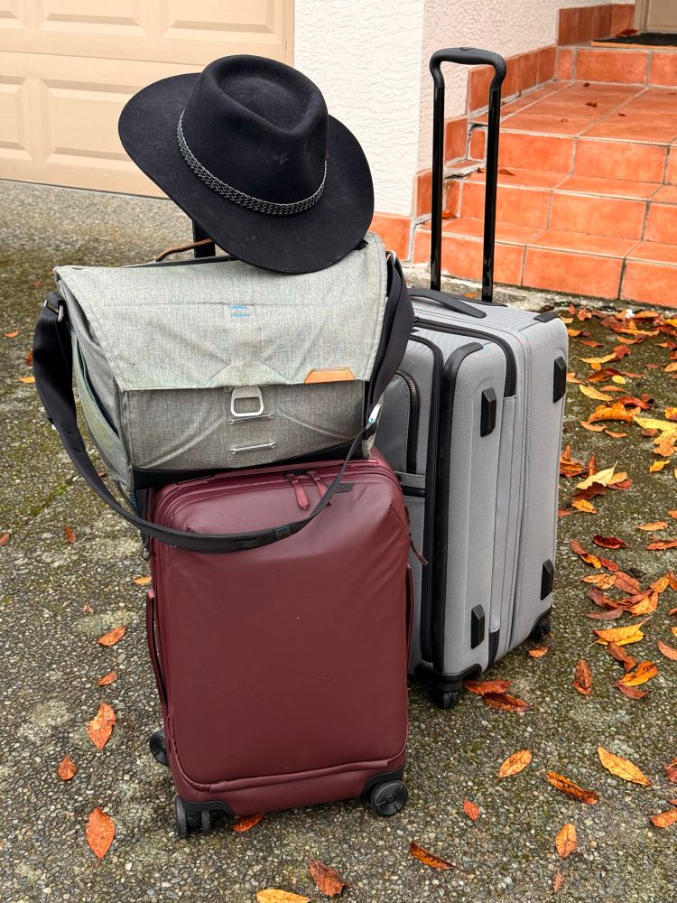 Luggage with hat