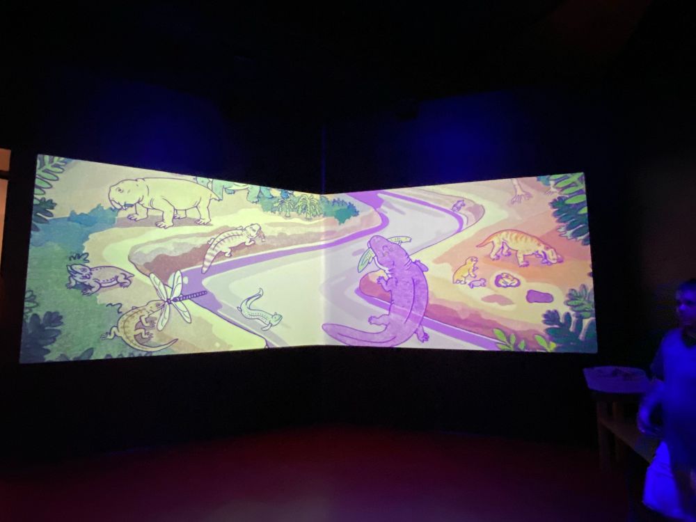 Projected screen showing drawings of ancient extinct animals by Greer Stothers