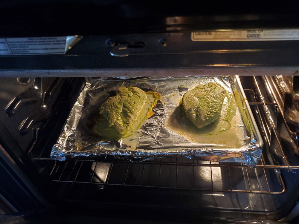 Two sad chicken breasts, releasing their juices in the oven, both a putrid shade of green