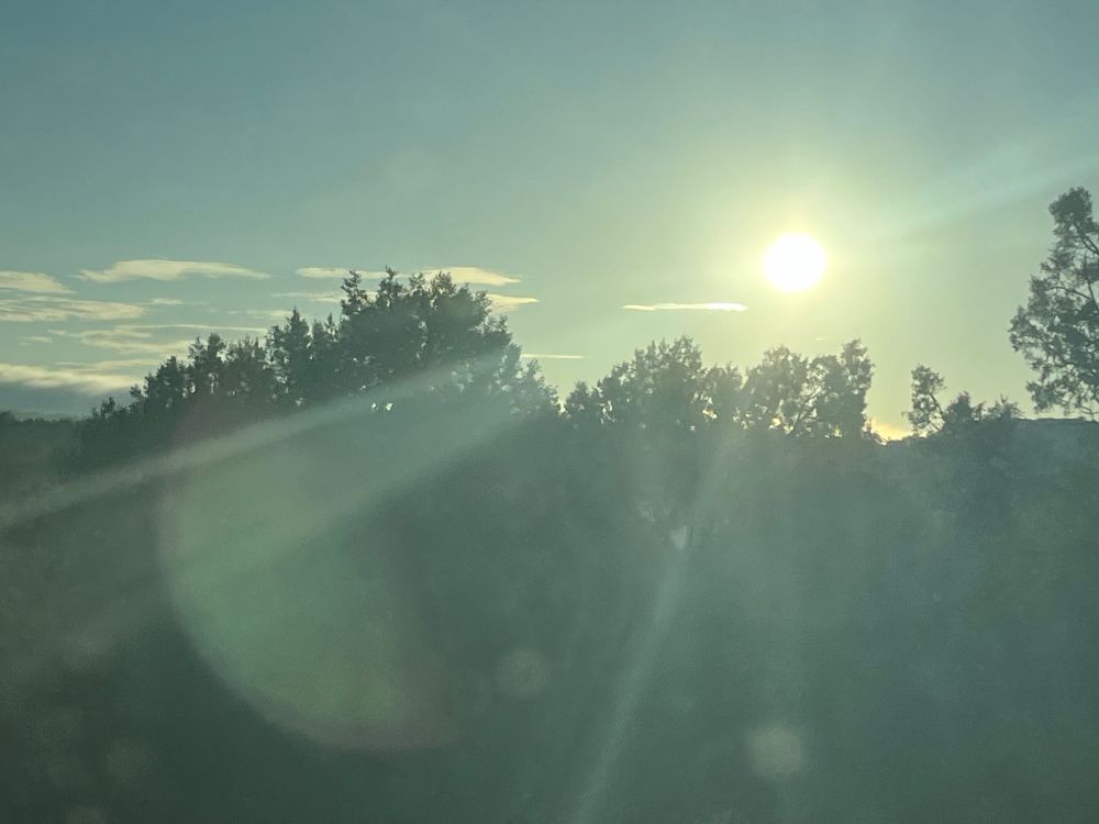 Rising sun through fog and trees