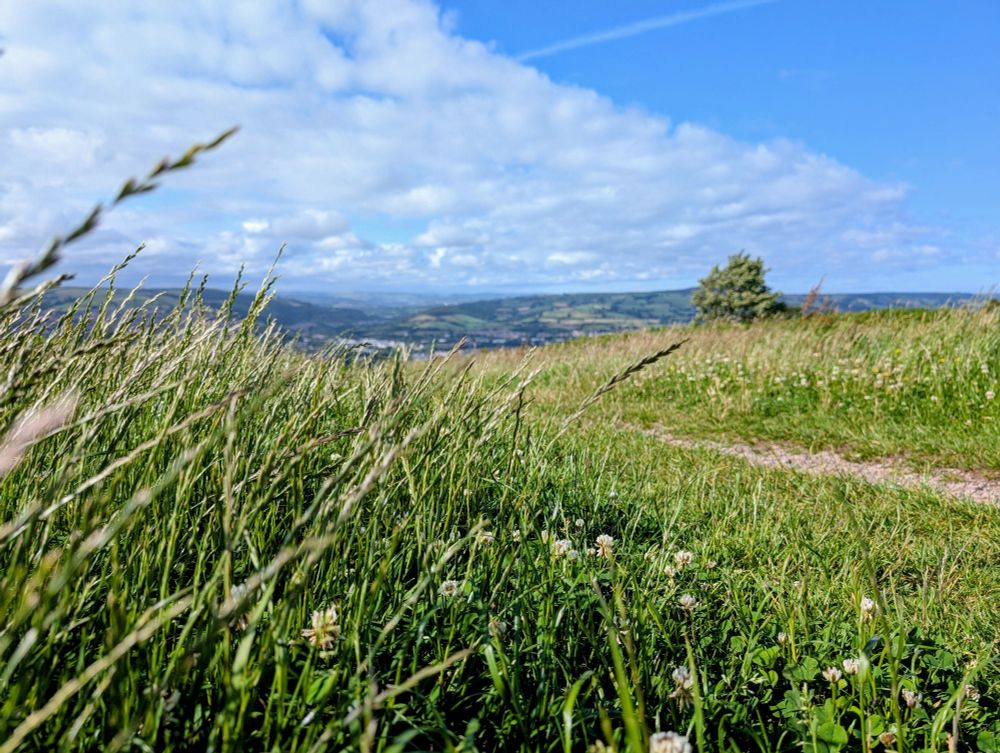 Long grass and a path overlooking hills 
