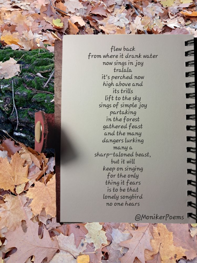 flew back
from where it drank water
now sings in joy
tralala
it's perched now
high above and
its trills
lift to the sky
sings of simple joy
partaking
in the forest
gathered feast
and the many
dangers lurking
many a
sharp-taloned beast,
but it will
keep on singing
for the only
thing it fears
is to be that
lonely songbird
no one hears

@MonikerPoems

Photo of a notebook with the poem over a photo of brown leaves on the ground surrounding a moss-covered log.